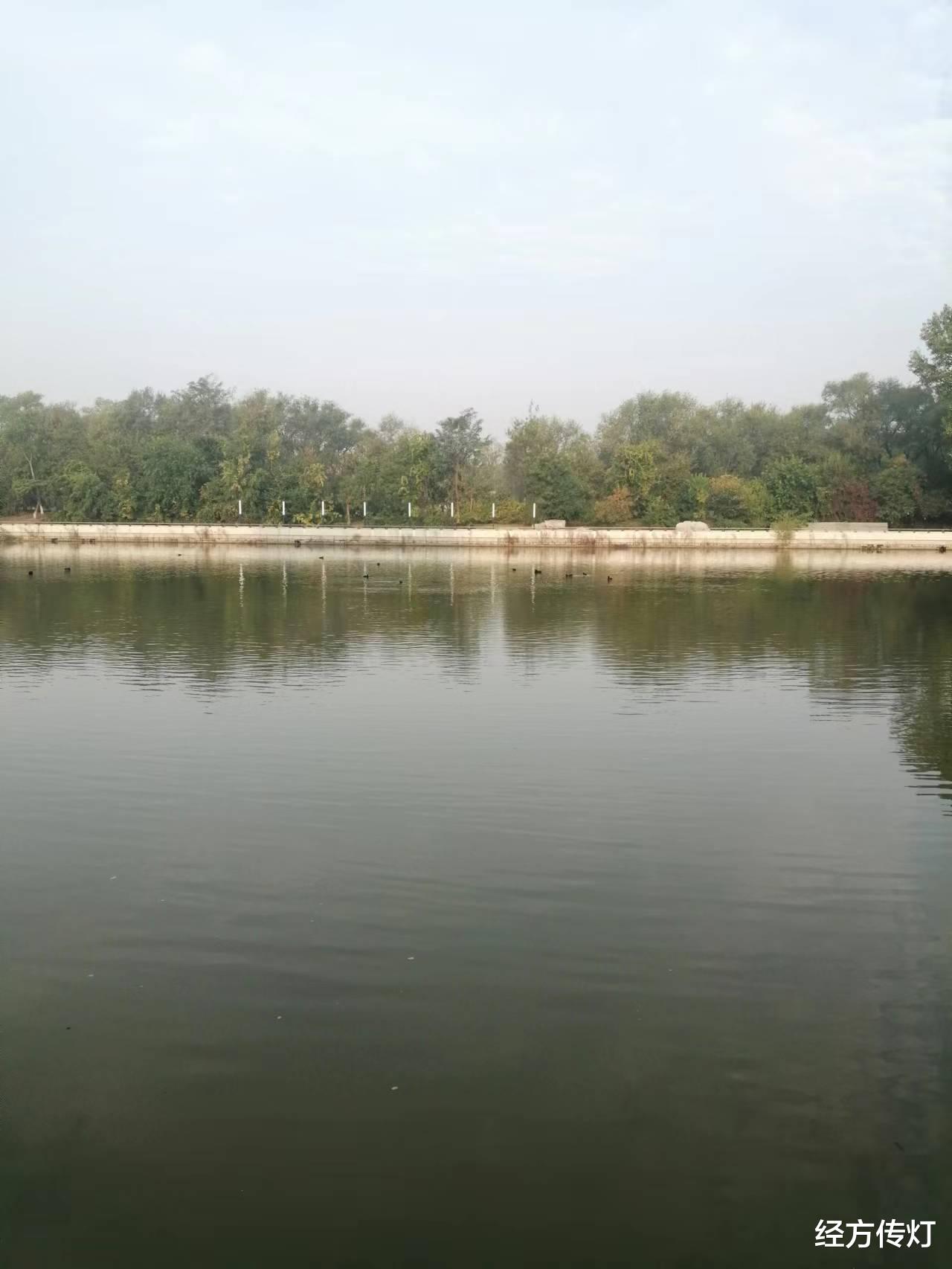 中药|黄连汤合麦门冬汤、百合知母汤、下淤血汤加减治疗心悸、嗳气医案