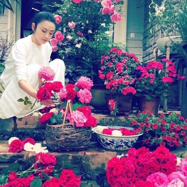 杨丽萍|63岁杨丽萍在大理的豪宅火了，网友：这生活，简直就是人间理想！