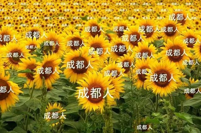 消化不良|谷雨一过就是初夏！中医提醒：养生要注意这5点