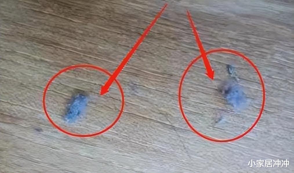 为什么家里总有很多“毛絮”?教你几招,毛絮自动消失,建议收藏