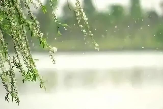 消化不良|谷雨一过就是初夏！中医提醒：养生要注意这5点