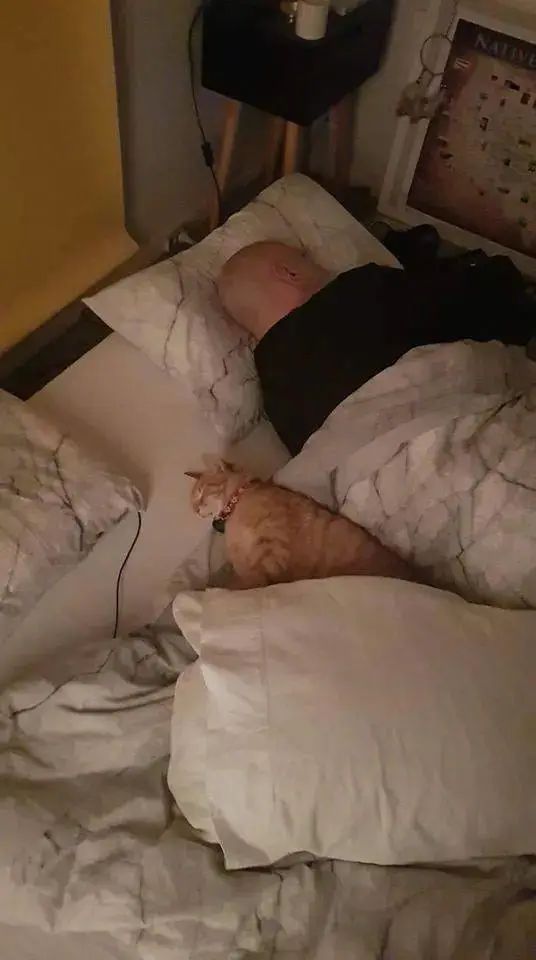 有猫天天陪着睡觉，但男子表示：这不是我的猫！