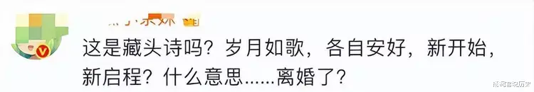 陈浩明|娱乐圈的表面夫妻,看似恩爱,实则貌合神离,婚姻一地鸡毛