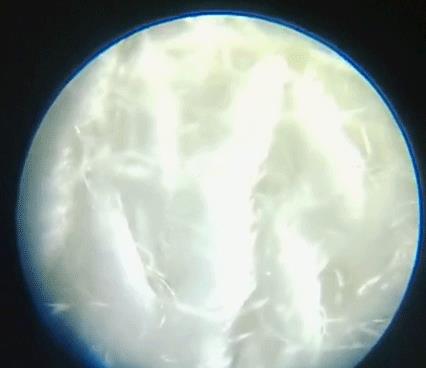 右脑发达的孩子，大多有3个特征表现，未来是个学霸的好苗子