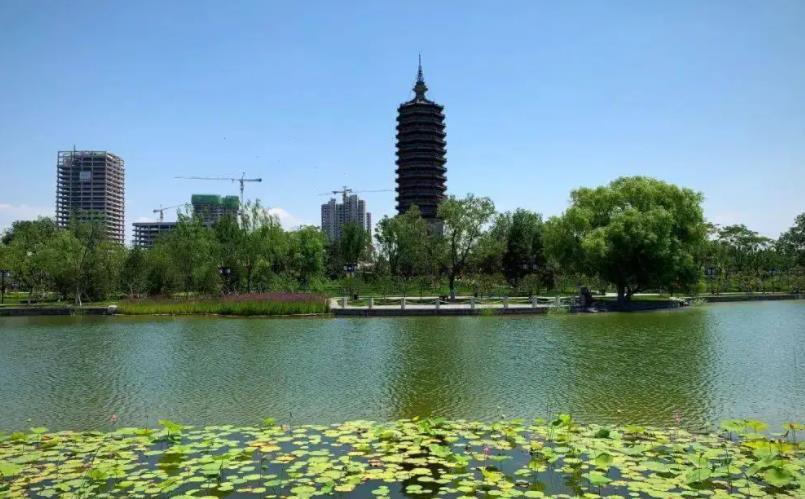 分界洲岛|北京古运河公园，北京东部最大的城市公园，风景优美让人陶醉