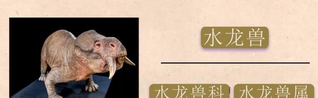 北极发现4.6万年前“尸体”,地球或在演变,人类怎么办?