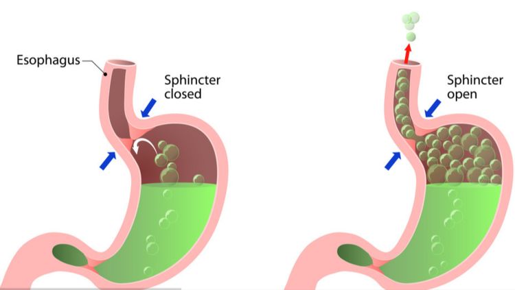 便秘|别再把消化不良当胃病！或许是胆囊不好了，听听医生怎么说
