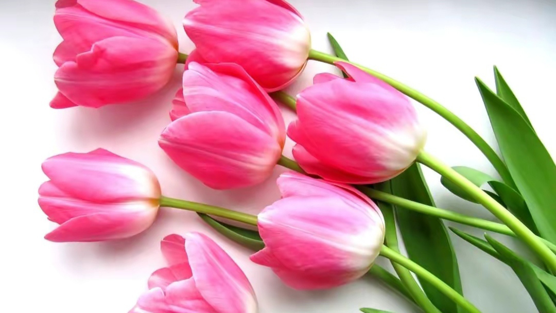 招聘|创业公司,应该招聘什么样的员工?