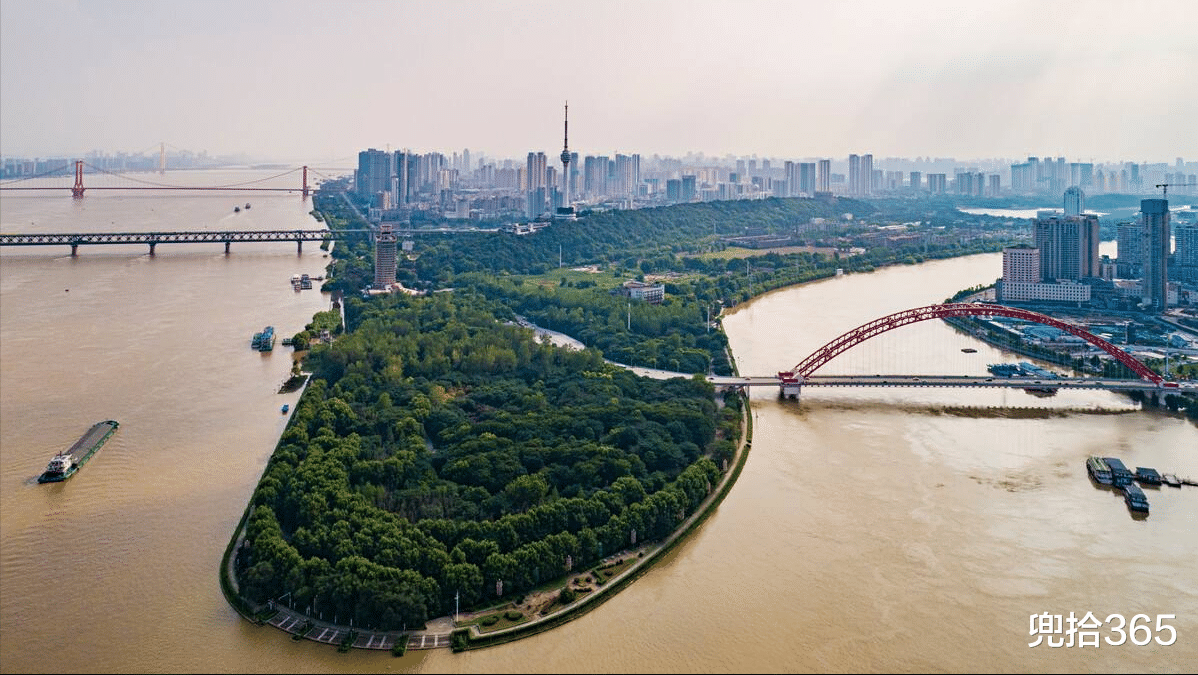 武汉|男子钓鱼流浪猫乖巧等待一夜，吃饱后还会把小鱼叼给别的小猫