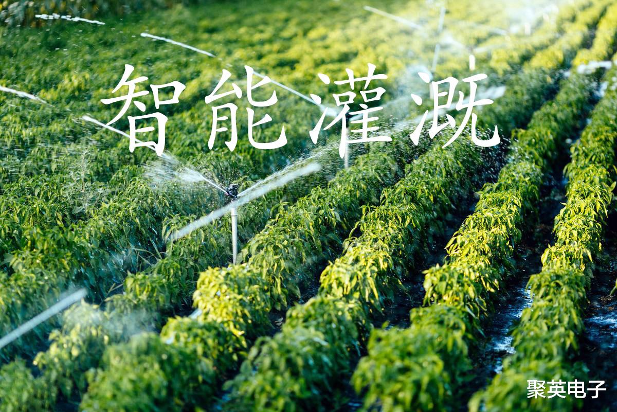 物联网|农业物联网技术，控制农田智能灌溉，手机自动定时定量浇水