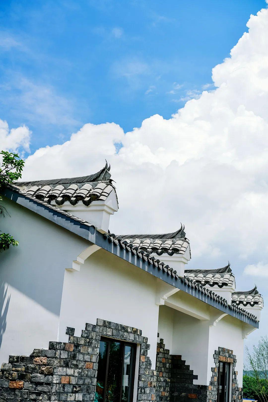 身份证|初冬，这里超萌！