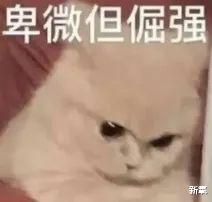 豪门|赌王二房女儿何超云和香港消防队员订婚了？