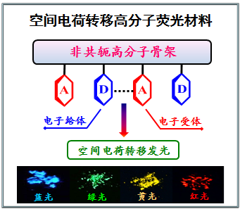 高分子优秀青年学者专辑| 空间电荷转移高分子荧光材料！