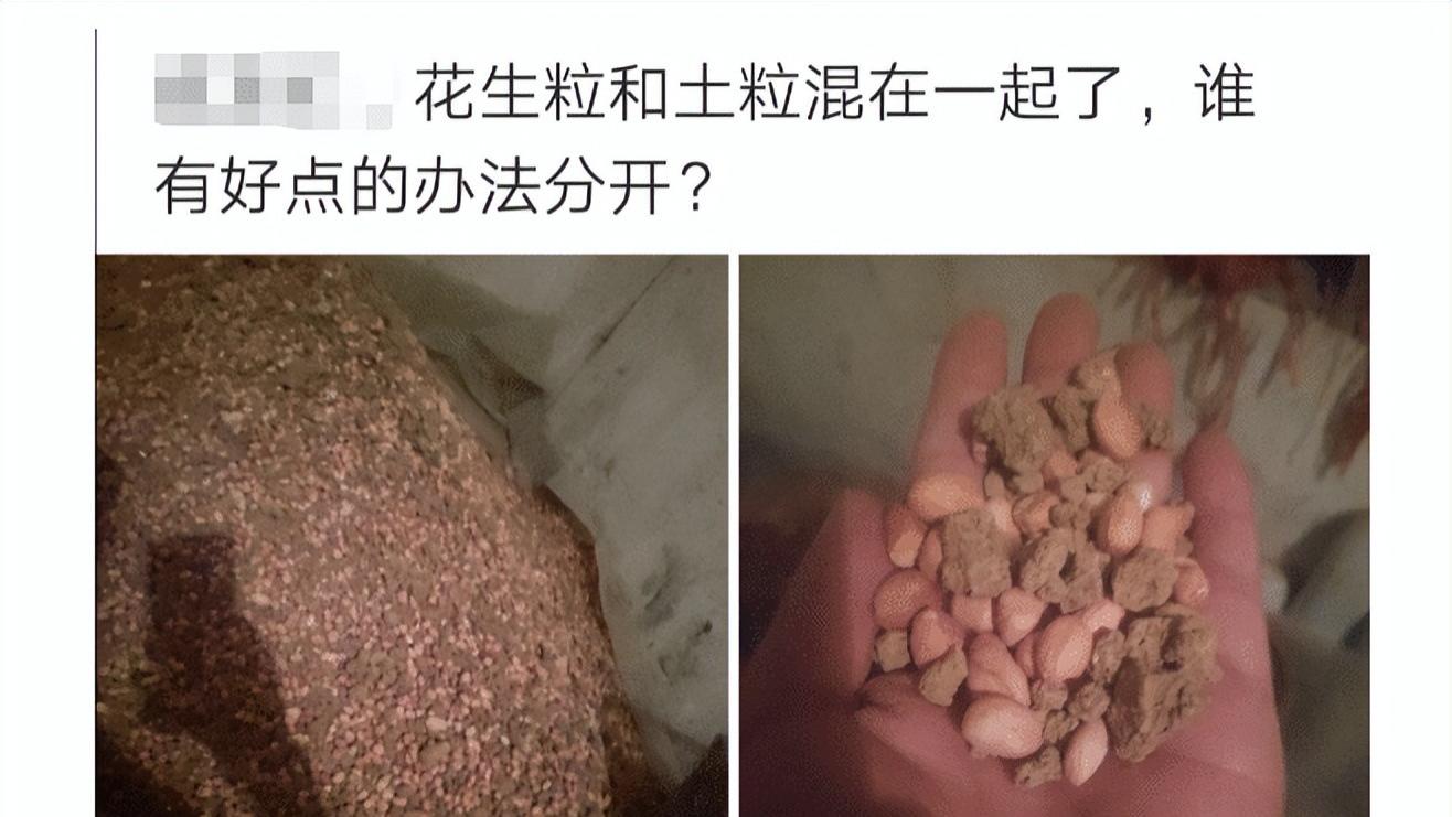 “花生粒和土粒混在一起了，有什么好点的办法分开吗？”神回复猝不及防