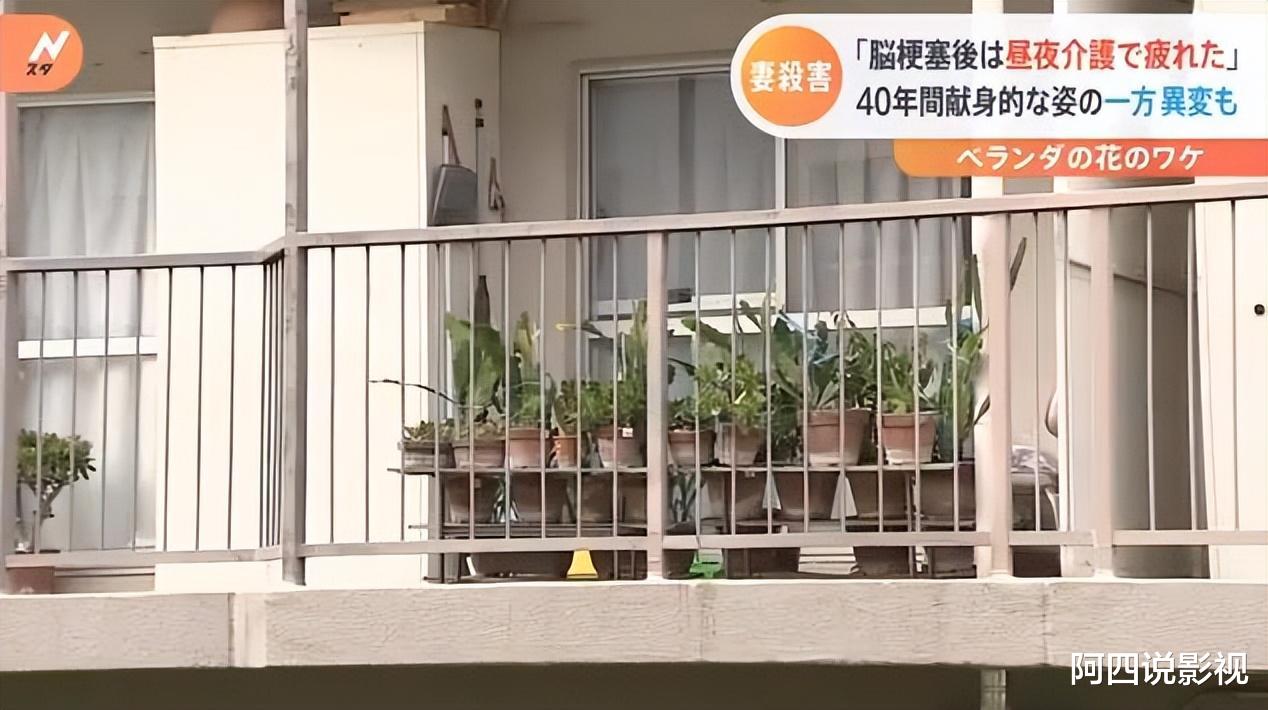 日本男子将瘫痪妻子连同轮椅推向大海，男子：真的累了