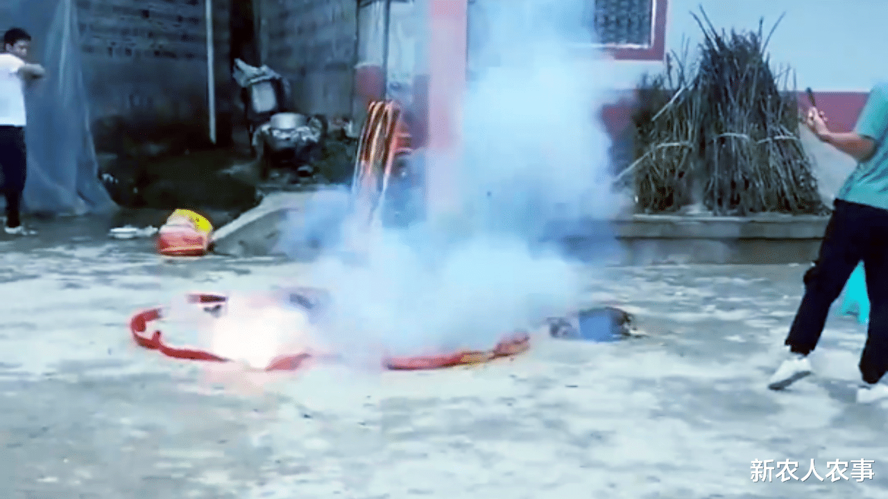 |重庆一男子钓鱼习惯性“空军”，直接在院子里做法，网友：不正式