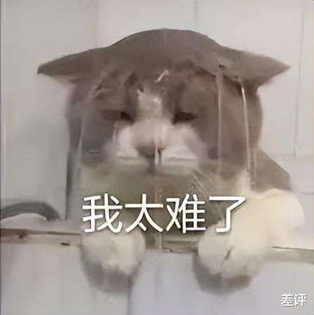 芯片|从200元跌到20元，贷款炒芯片的老哥都亏麻了