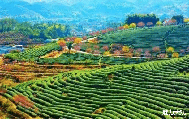 梯田|航拍角度下的大美中国,领略那些上帝视角下我们没有见过的景观