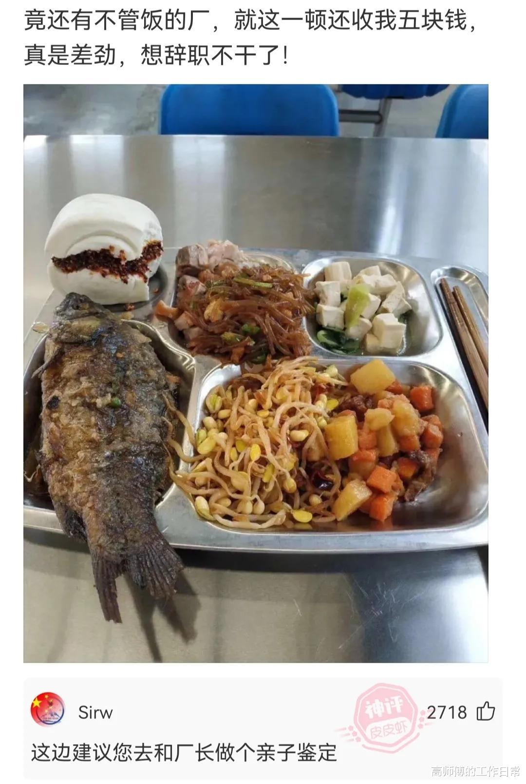 望父成龙|“用四个字表达一下你现在的生活”望父成龙