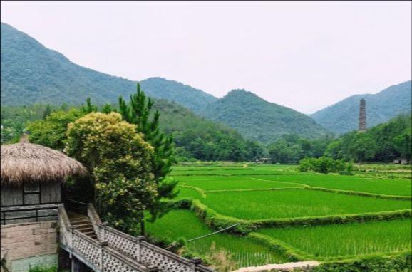 真正的中国好寺庙,不收门票不卖香火自己种菜,一份斋饭2元贵吗