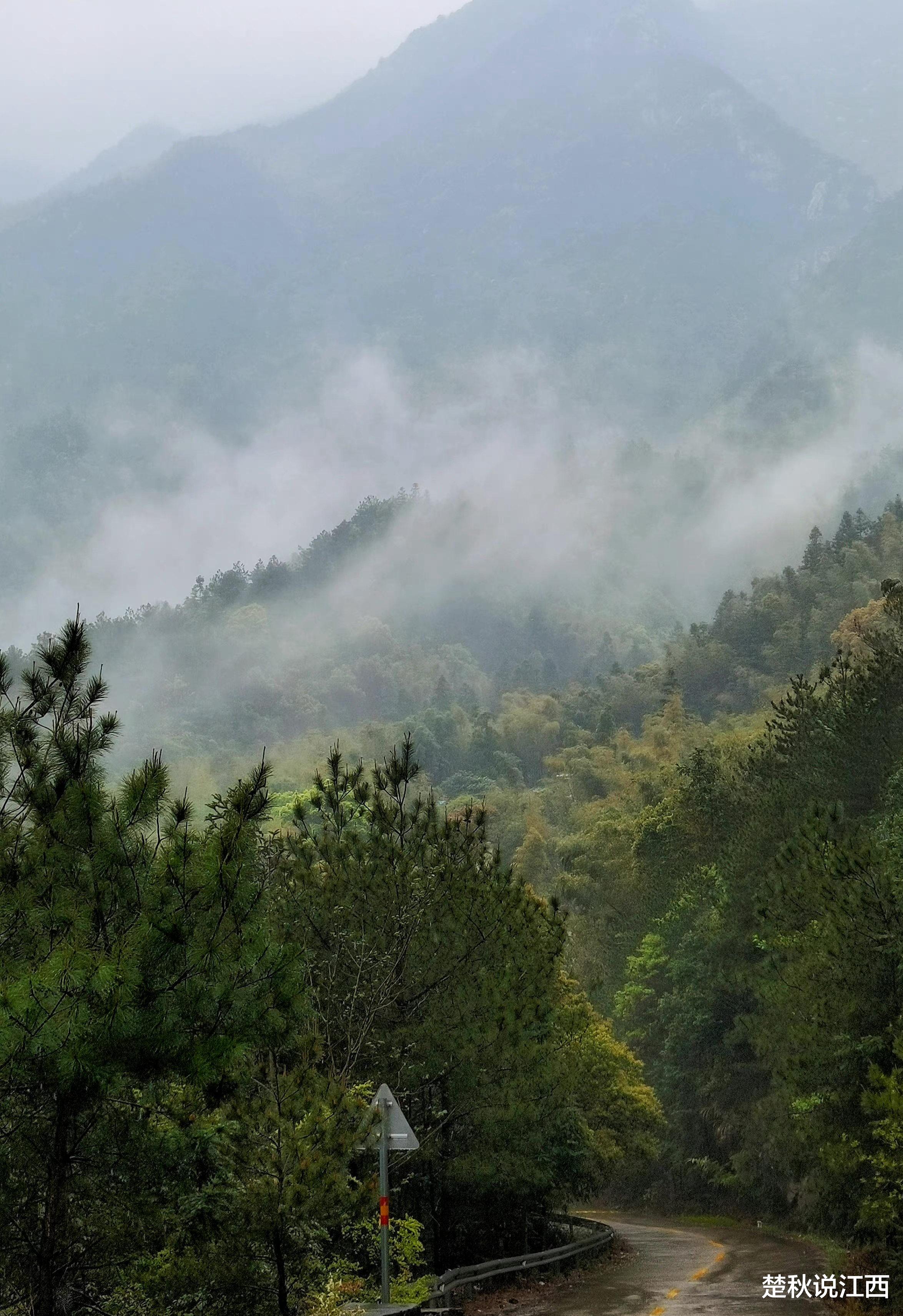 庐山|庐山鄱口深处，有个神秘的太乙村！