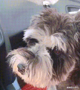 |“钓鱼钓出来个破石头，看起来很值钱”还是放回去心里踏实点