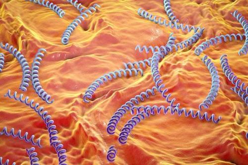 医生|未婚女子腹痛欲手术,医生一看化验单:手术暂停!你隐瞒了什么?