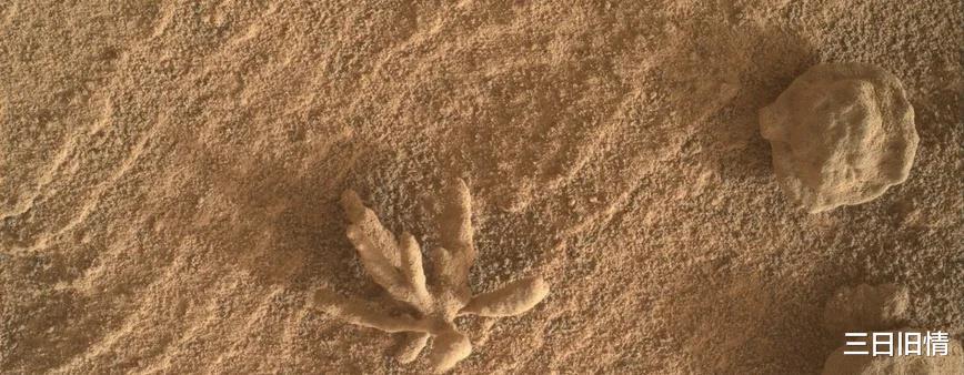 好奇号火星上发现一条“眼镜蛇”?或有30亿岁,如何形成的?