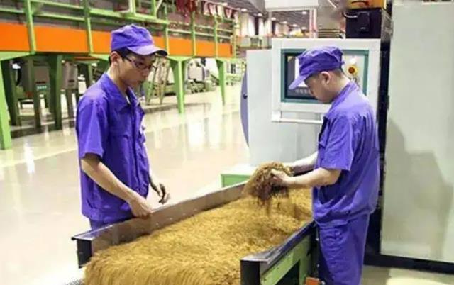 制造业|烟草公司招聘人才，入职后年薪20万以上，还有一笔“安家费”