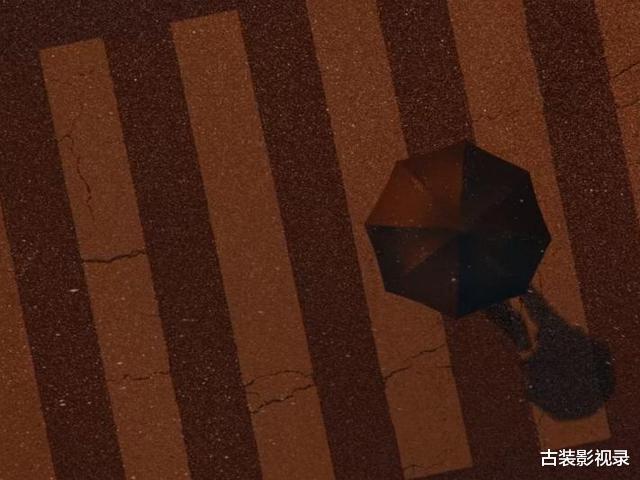 孙海英|《一闪一闪亮星星》结局中，除了张万森，还有谁会为林北星撑伞？