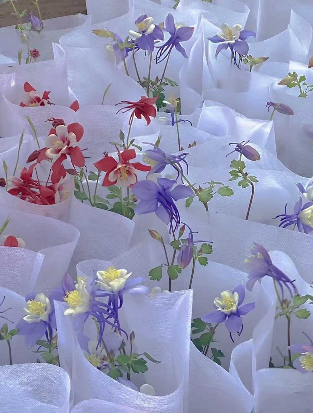 我喜欢的摄影,我看到的世界