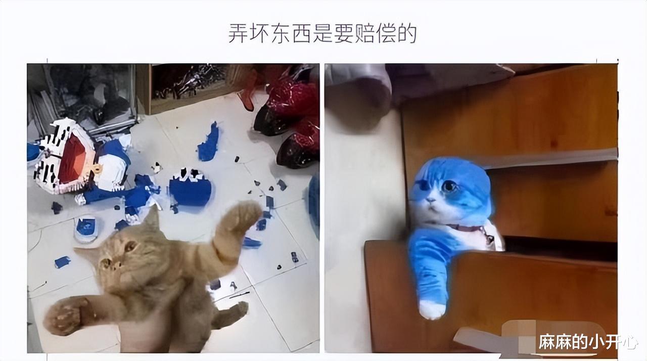 特斯拉|“总经理办公室这样设计,要不要加厚隔音墙呢?”太有才了