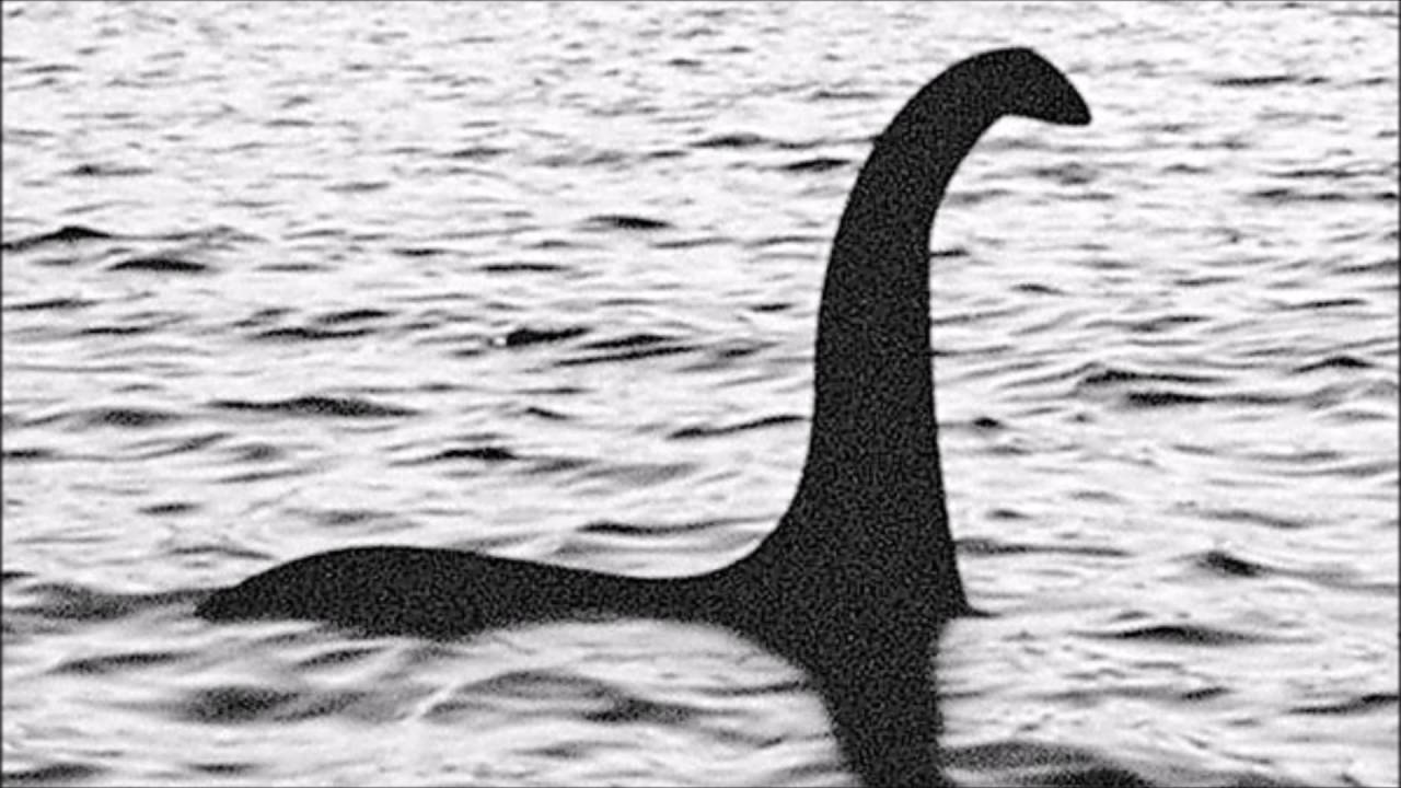 喀纳斯湖再现“水怪”！真的有巨型生物存在吗？专家如何解释？