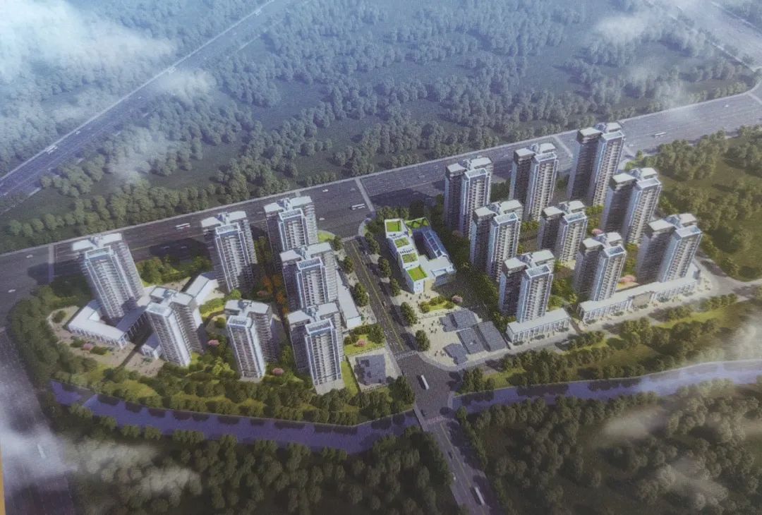 晋江|现场摇号!户型图曝光!晋江这一片区改造……