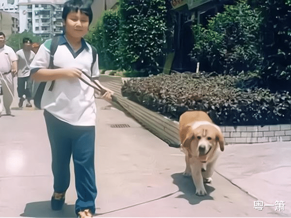 康天庥|《外来媳妇本地郎》康天庥成多栖艺人，观众直言周身是刀没一把利