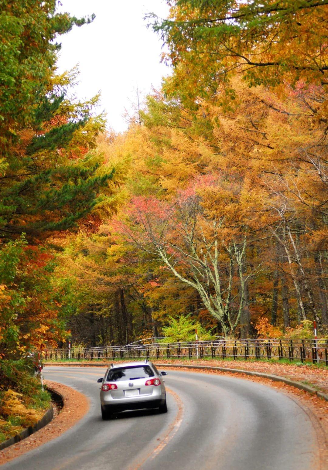 张家口|680平方公里!国内超低调的“红叶第一山”,错峰出行,真香