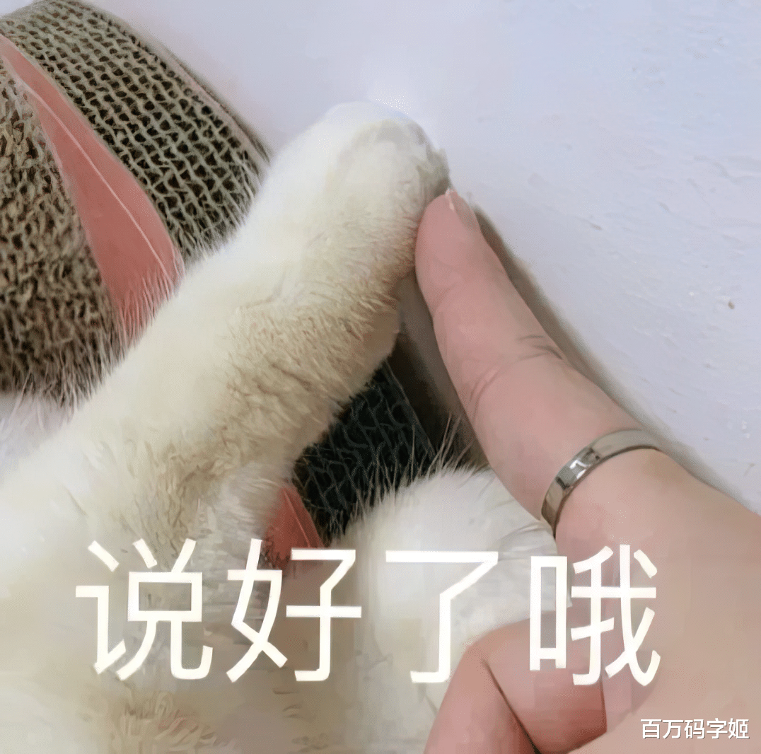 95后|95后打工哲学:“打个工而已,太在乎领导和同事,你就输了”