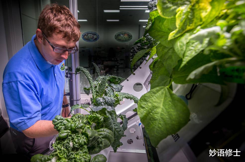 太空水稻首次成功育种!技术含量高不高?但可能不是给咱们吃的