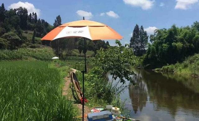 |渔乐杂谈：夏季钓鱼应当注意的几个方面