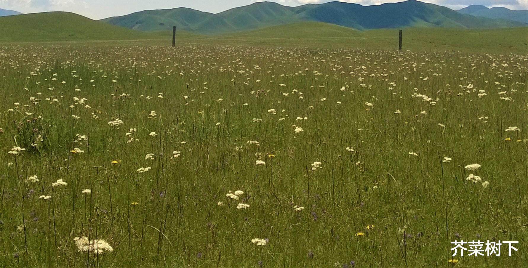 |人在职场，咱厚道不？