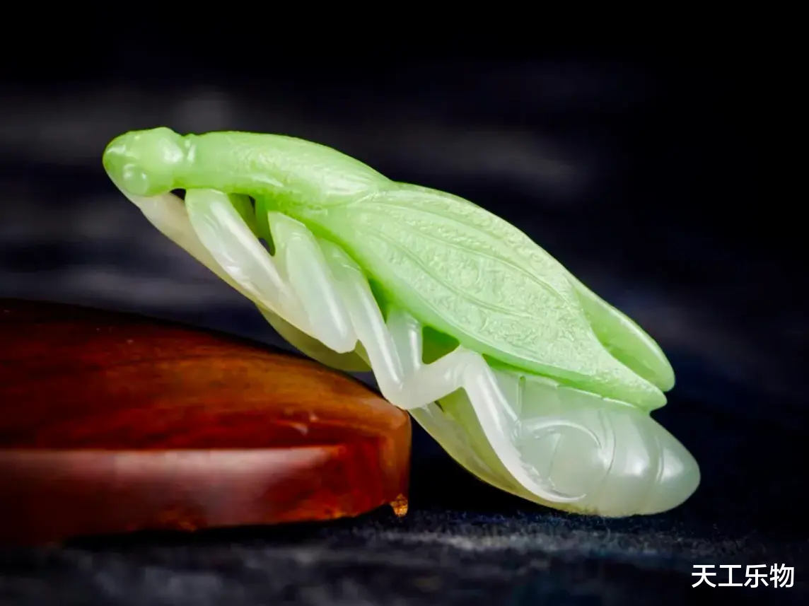 钱币|和田玉的玉中翠!五德加身的小螳螂!青海翠青料“金玉满堂”!