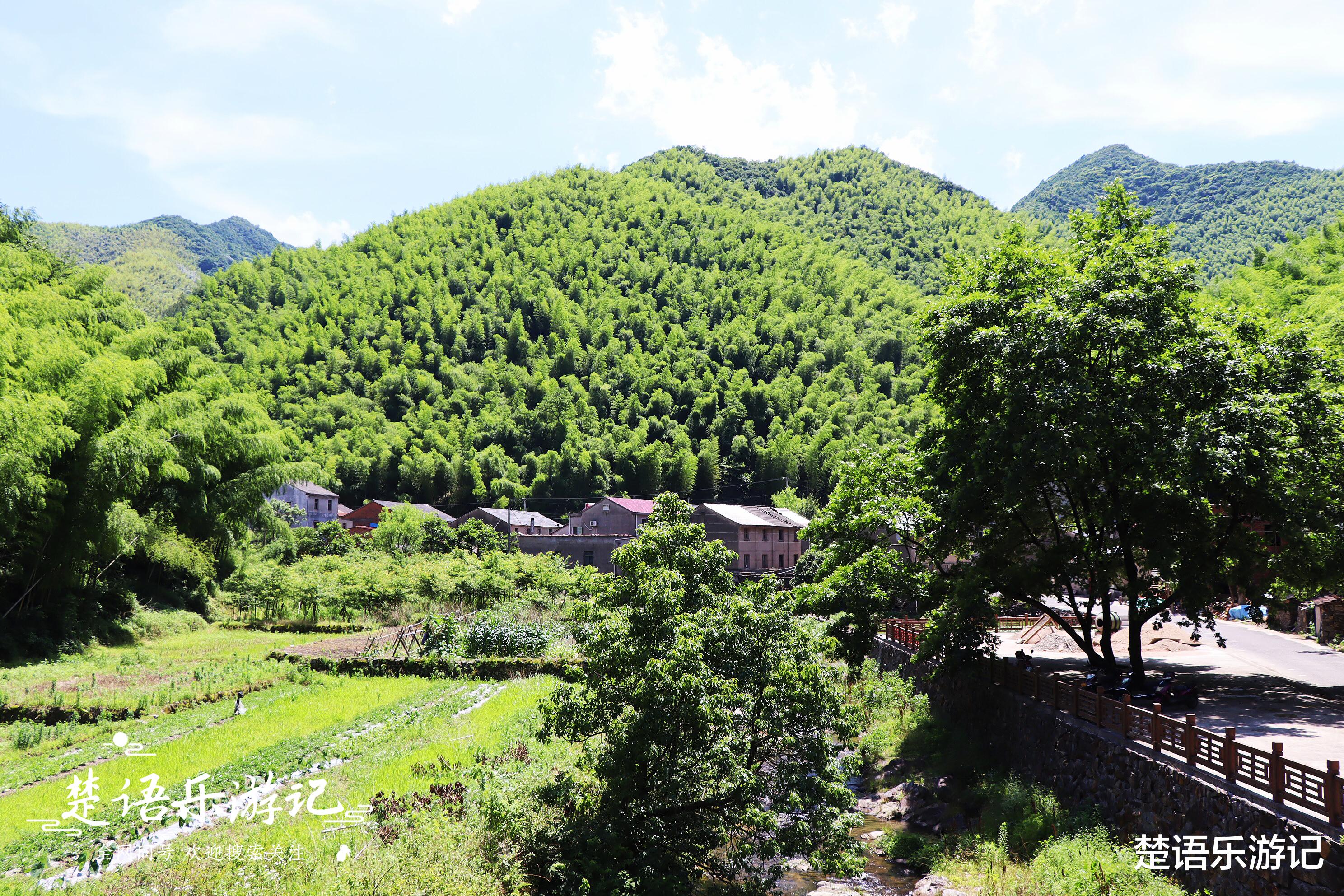 奉化|藏于奉化山岙的古村，依山傍水、梯田古道，少有人来但是景色清秀