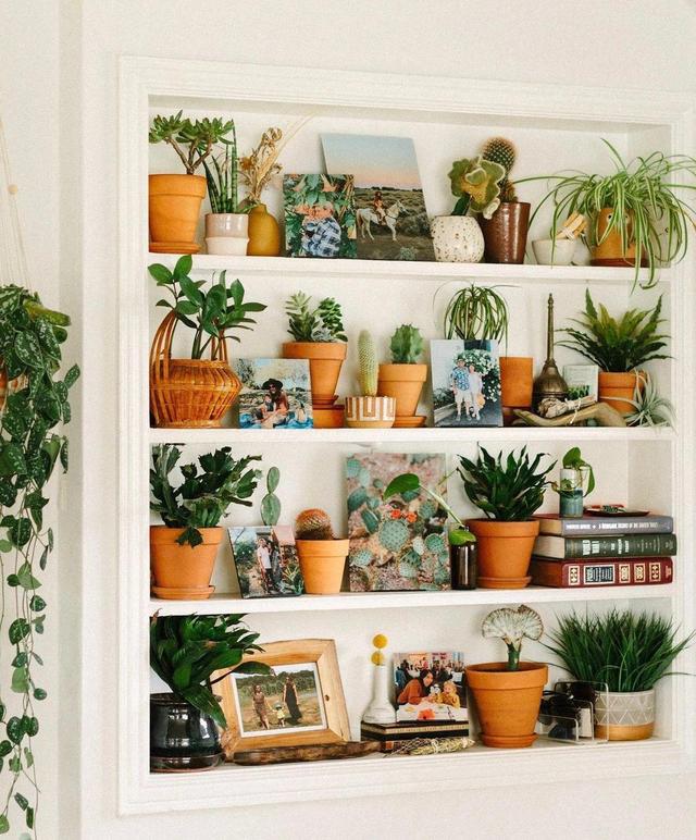 处处有植物的森系家居,配上藤编,整个家都能感受到大自然的呼吸