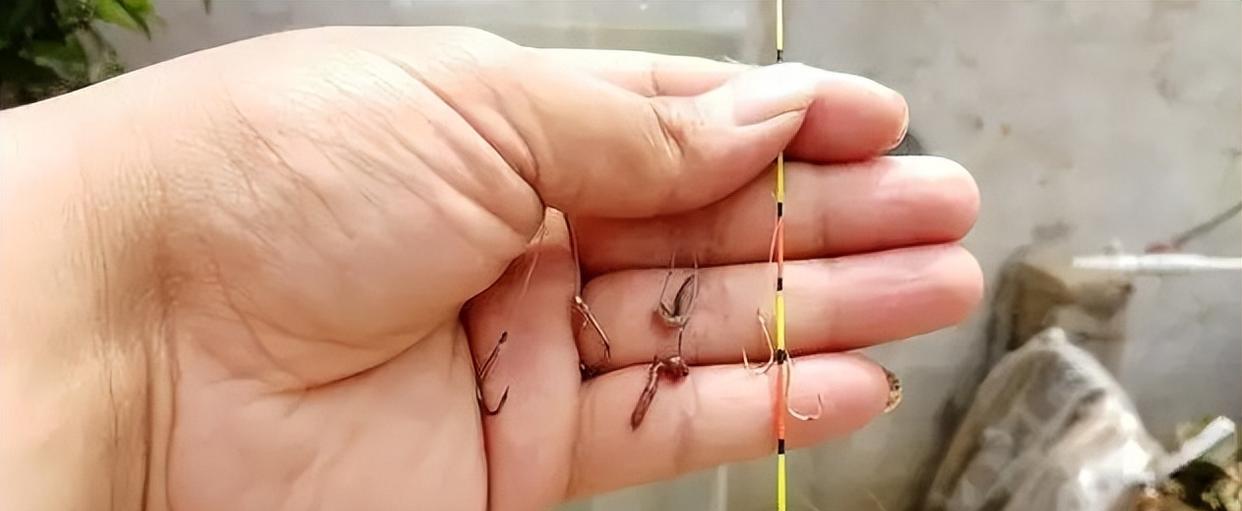 |钓鱼调漂时,新手容易犯的3个错误,调漂讲解让后学者少走弯路