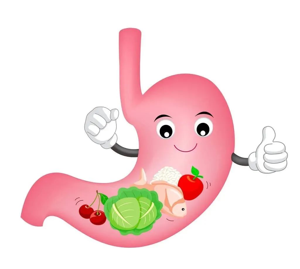 心肌梗塞|食管癌和贲门癌的饮食这样做,会比别人快一倍恢复