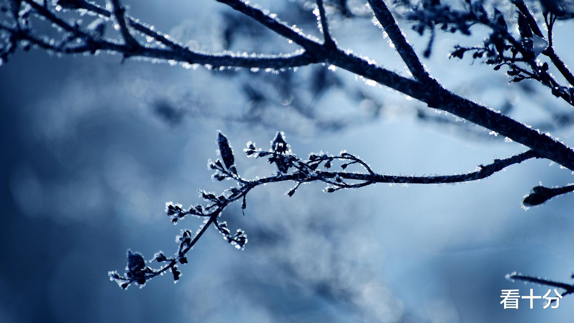 一张照片一段回忆,相簿越来越薄的现在