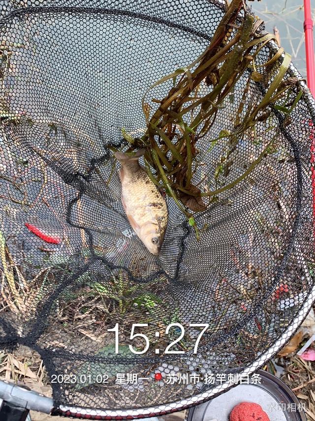 |冬季钓鱼发窝慢,多一些耐心渔获会更加称心