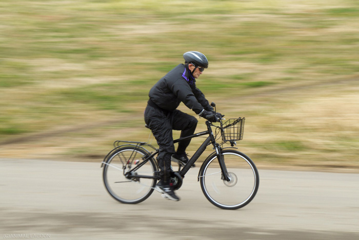 平移拍摄的技巧,如何用流动的背景创造一个生动的意识流镜头