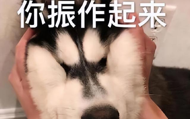 00后|00后霸气“炒老板”，因缺席加班会议被通报，工作群回怼无理老板