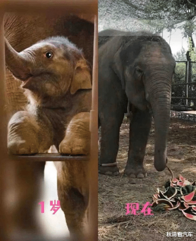 陈柏霖|突传噩耗！大明星沦为阶下囚，刺痛半个中国：她的近照，我不敢看